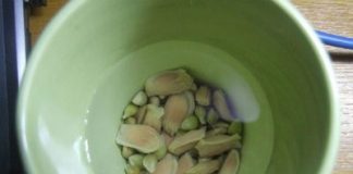 Hướng dẫn làm chậu cây xanh nhỏ xinh phủ xanh căn phòng