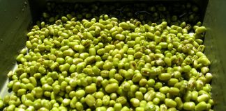 Thức ăn tẩy độc “siêu” nhất