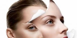 “Lịch trình” lão hóa của các bộ phận trong cơ thể