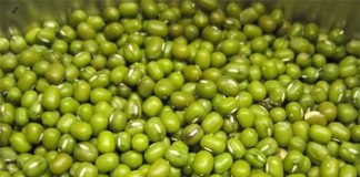 Bí quyết có được làn da trắng mịn với hạt đậu