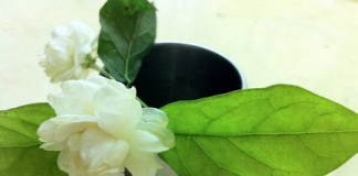 7 loại tinh dầu có lợi cho sức khỏe