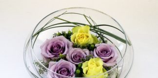 3 cách cắm hoa hồng đơn giản nhất cho nhà đẹp 'phát ngất'