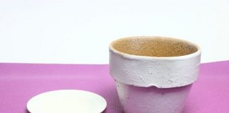 Khéo tay làm chậu cây mini bọc bằng vải bền đẹp