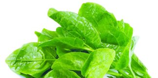 Thực phẩm bổ thận tráng dương thường ngày mà bạn không biết