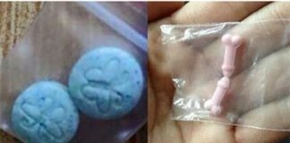 Ma túy "bướm xanh", "chim hồng" gieo rắc nỗi kinh hoàng