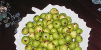 Hướng dẫn muối sung