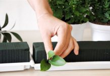 Cách cắm hoa cúc vàng mang phúc lộc ngập tràn đón Tết