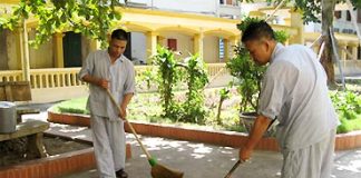 Vì sao thời hiện đại con người dễ mắc bệnh tâm thần?