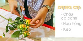 3 cách cắm hoa 8/3 đơn giản để bạn áp dụng được ngay