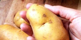 Cánh gà om khoai tây đậm đà ăn ngay cho nóng