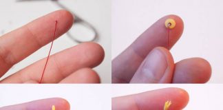 Làm chậu hoa lục bình cực xinh từ đất sét Nhật