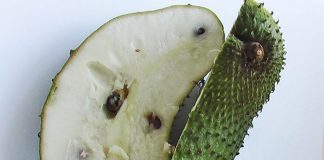 Loại quả chữa ung thư hơn hóa trị ngàn lần?