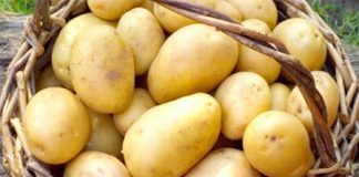 Ngon mê ly với cách làm khoai tây lắc phô mai cực hot