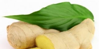 Dùng gừng không đúng cách có thể nhiễm độc tố gây ung thư gan