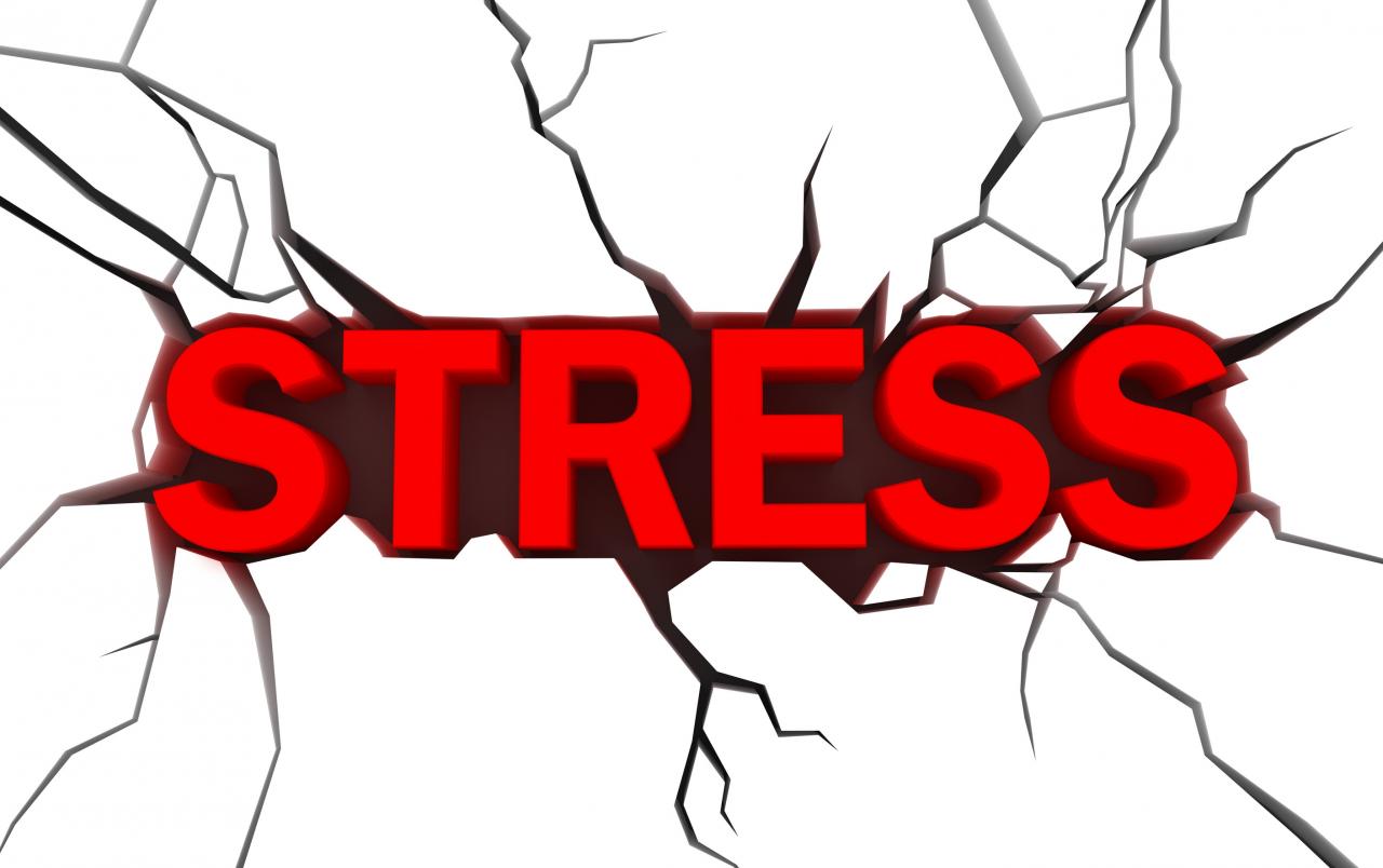 Các giải pháp đối phó với stress - 1