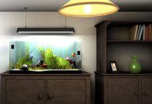 Làm sao để chọn nơi đặt bể cá?