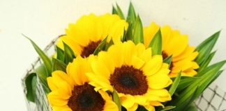 Mẫu hoa đẹp 20/10 cho bạn trai thỏa thích lựa chọn mang tặng