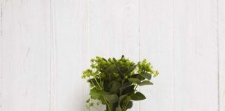 Cach_cam_hoa_don_gian_voi_su_tinh_te_1