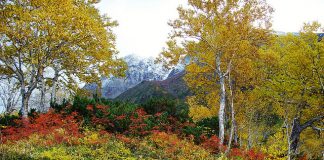 Kamchatka: Đẹp và đầy thách thức