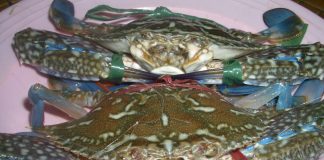 Cách luộc ghẹ ngon, chuẩn vị cho dân nghiền hải sản