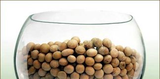 10 loại thức ăn giúp bạn vừa khỏe vừa đẹp