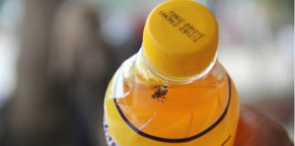 Phát hiện chai nước Number One có vật thể lạ ở Nghệ An