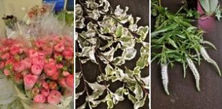 Cuối tuần, gọi nắng về nhà với cách cắm hoa tươi tự nhiên1