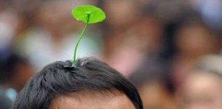 Cư dân mạng Trung Quốc thích thú với trào lưu "đầu để mọc cây"