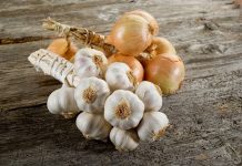 10 thực phẩm nguy hiểm cần tránh cho chó cưng ăn