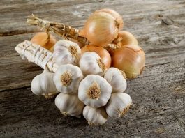 10 thực phẩm nguy hiểm cần tránh cho chó cưng ăn