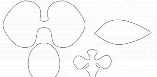 5 phút có ngay hoa lan hồ điệp thật xinh