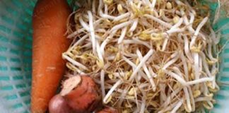 Cách làm dưa giá giòn ngon, thanh mát cho ngày Tết