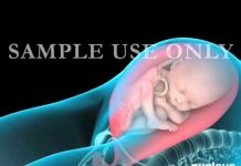 Chặng đường hình thành thai nhi đến sinh nở – những điều kì diệu!