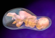 Video cận cảnh ca đẻ bọc điều cực hiếm gặp Video cận cảnh ca đẻ bọc điều cực hiếm gặp