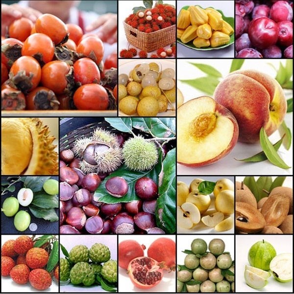 16 loại trái cây ăn nhiều dễ bị nổi mụn!