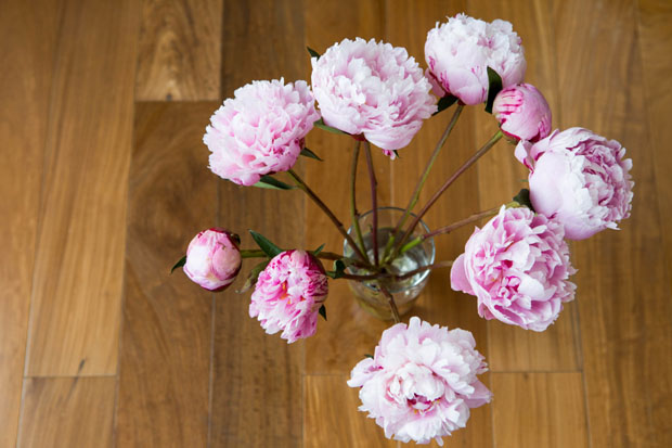 11 mẹo với hoa đẹp để làm thay đổi diện mạo căn phòng