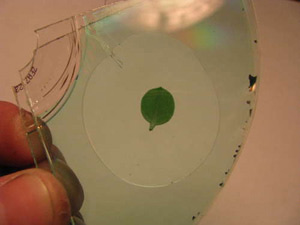 Hướng dẫn làm mặt dây chuyền từ đĩa CD