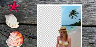 Teorex PhotoScissors v4.0-P2P