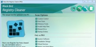 Black Bird Registry Cleaner Pro v1.0.0.7-P2P