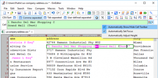 Emurasoft EmEditor Professional v17.1.2 x64/x86 MULTILINGUAL-CRD