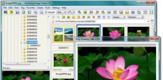 FastStone Image Viewer v6.3 Corporate Multilingual-P2P + Portable