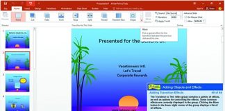 Individual Software Professor Teaches Office 2016 v1.0-P2P