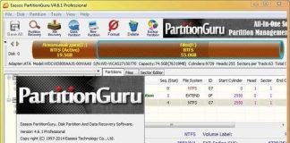 Eassos PartitionGuru v4.9.5.508 Professional Edition-P2P