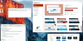 Stardock WindowBlinds v10.65-P2P