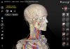 3D Organon Anatomy-NEWiSO