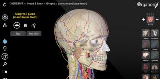 3D Organon Anatomy-NEWiSO