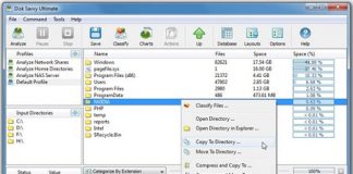 Disk Savvy Ultimate v10.3.16 (x86/x64)-P2P