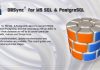 DMSoft DBSync for MSSQL & PostgreSQL v2.9.2 Multilingual-P2P