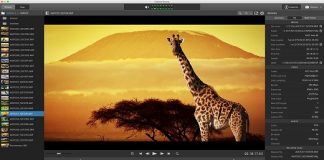 Sony Catalyst Browse Suite v2017.2.1 (x64)-P2P