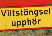 Chuyện lạ về dấu vết của kiếp luân hồi (2)